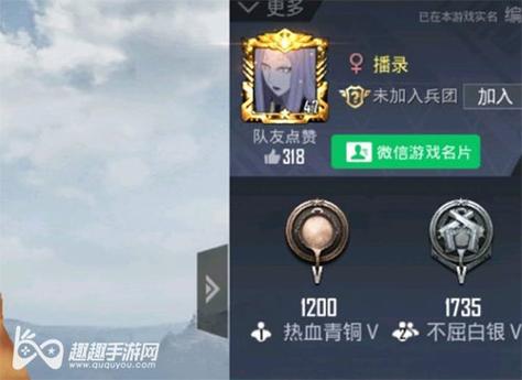 和平精英免越狱辅助【Koi】苹果IOS免签名半火辅助